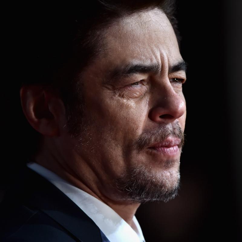 Actor Benicio del Toro